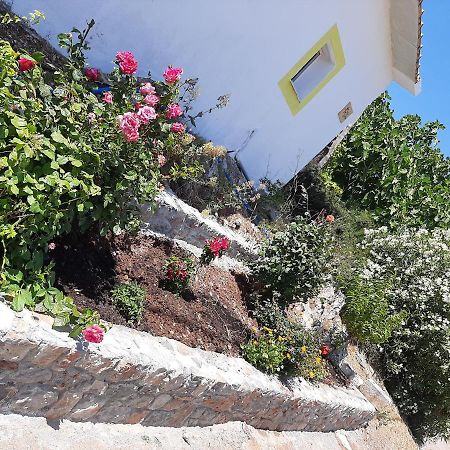 Lemon Garden 1 Villa Karidi ภายนอก รูปภาพ